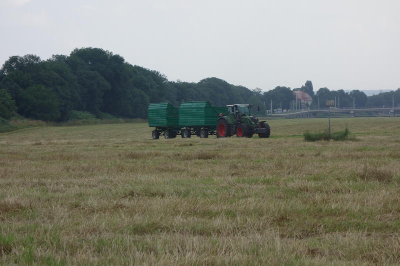 bilder/31_5_2003/fendt_716_4.jpg