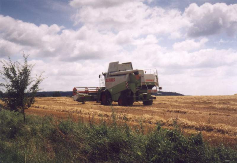 bilder/25_7_2001/lexion_5.jpg