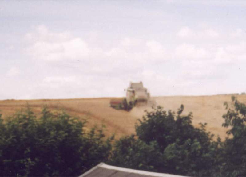 lexion_6.jpg