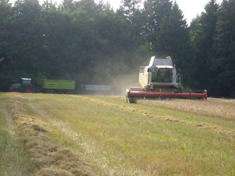 bilder/29_9_2011_2/CIMG5156.jpg