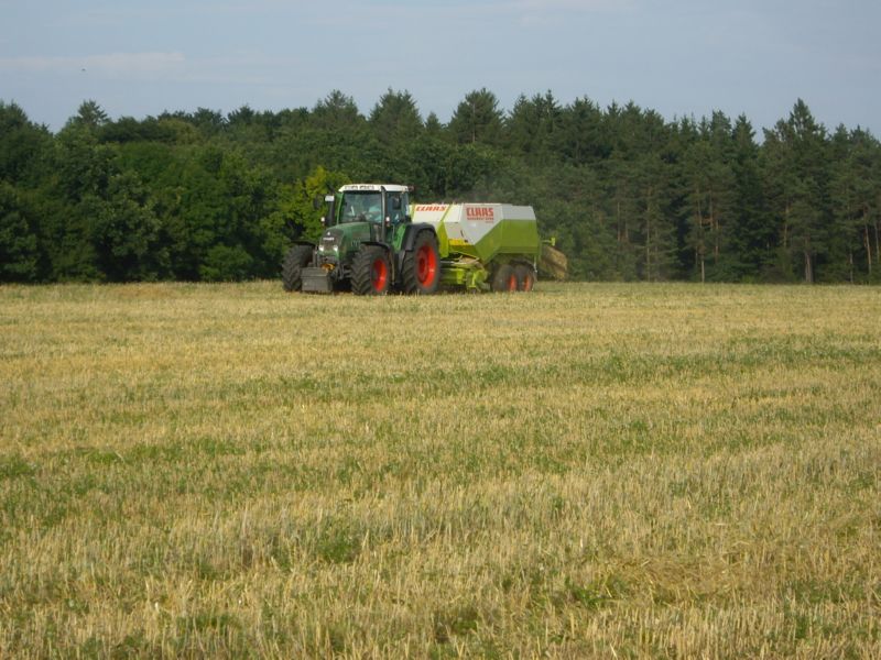 bilder/14_10_2013/CIMG0311.jpg