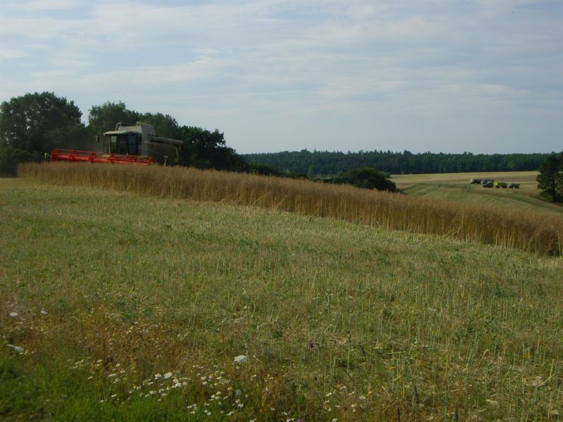 IMGP0662.jpg