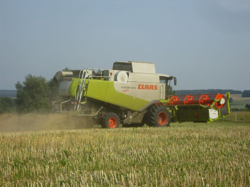 bilder/10_5_2014/CIMG2246.jpg
