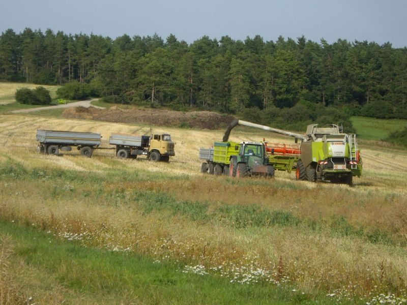 bilder/31_5_2007/P1010429.jpg