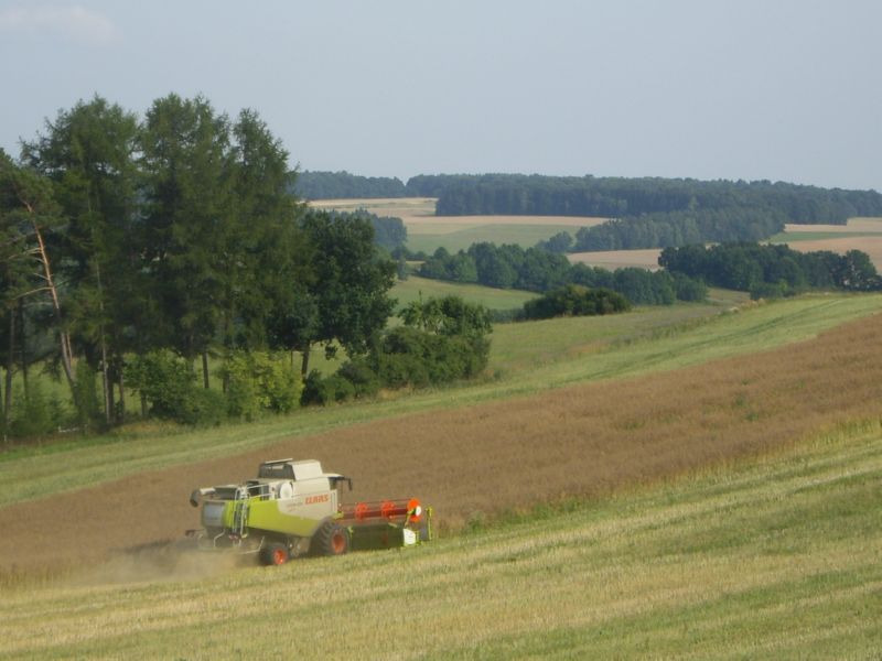IMGP0708.jpg