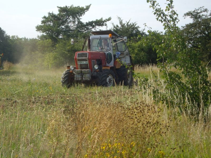 bilder/24_8_2002_2/mega.jpg