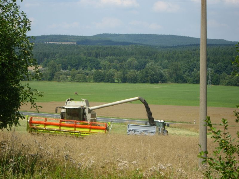 bilder/10_4_2002/terra_gator_+_tatra.jpg