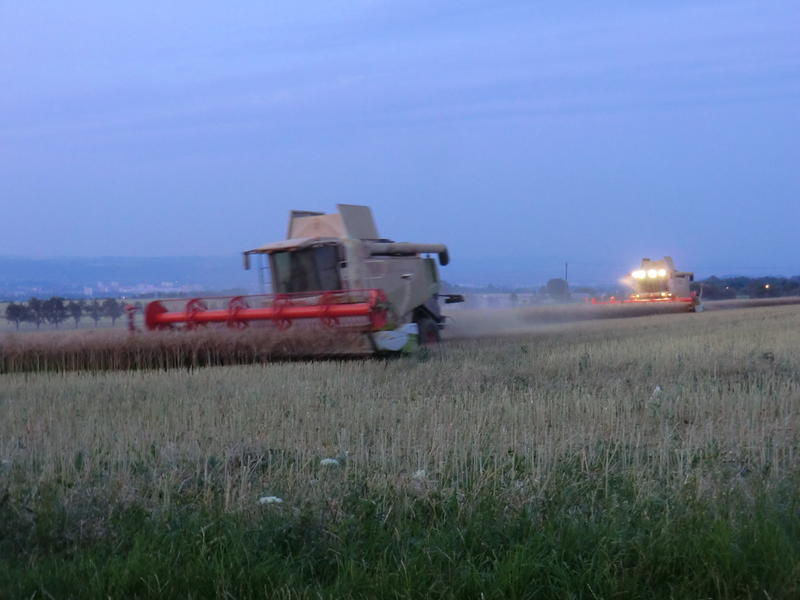 bilder/25_7_2012/CIMG9831.jpg