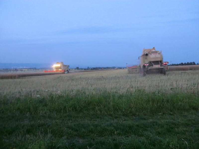 bilder/25_7_2012/CIMG9835.jpg