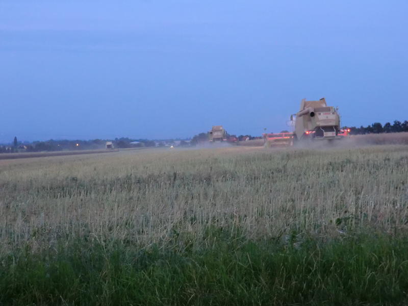 CIMG9840.jpg