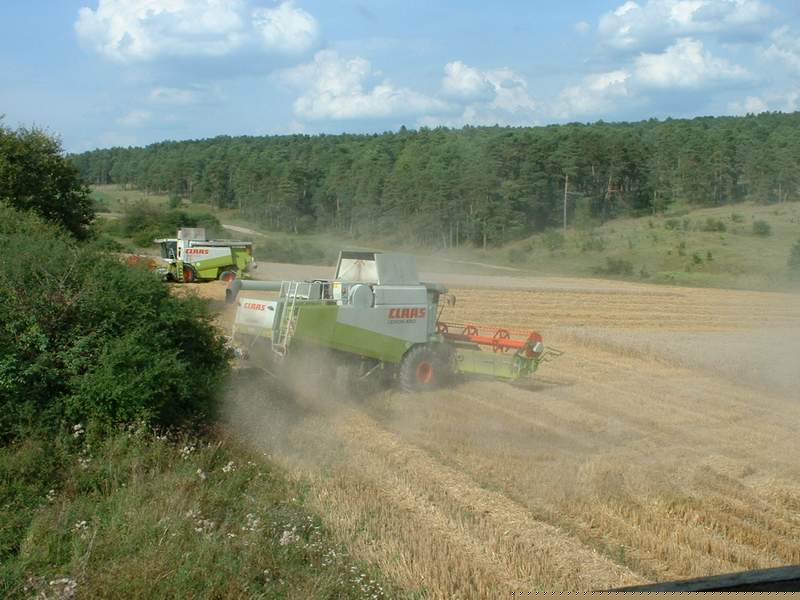 bilder/25_8_2002/2x_lexion_10.jpg