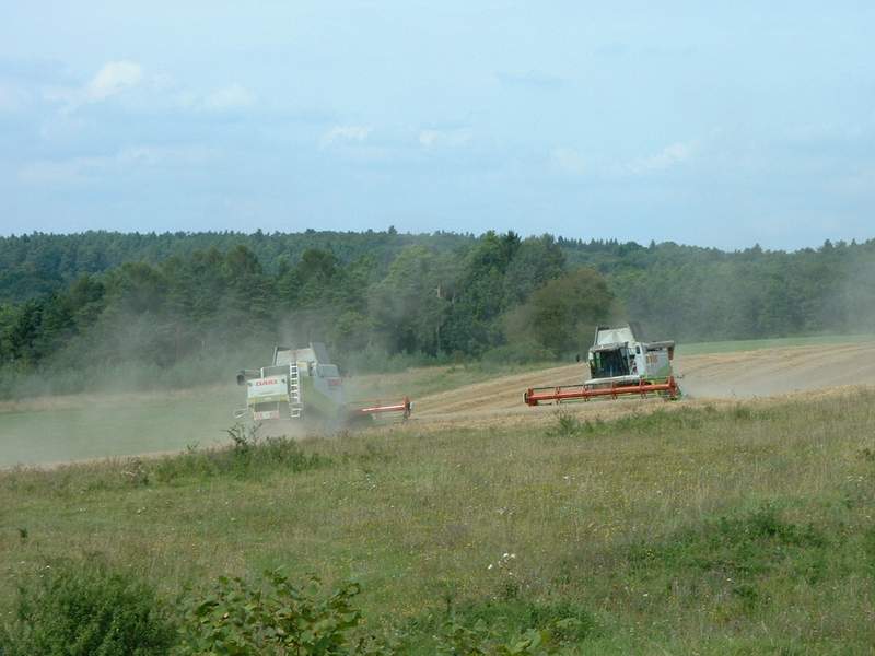 bilder/25_8_2002/2x_lexion_2.jpg