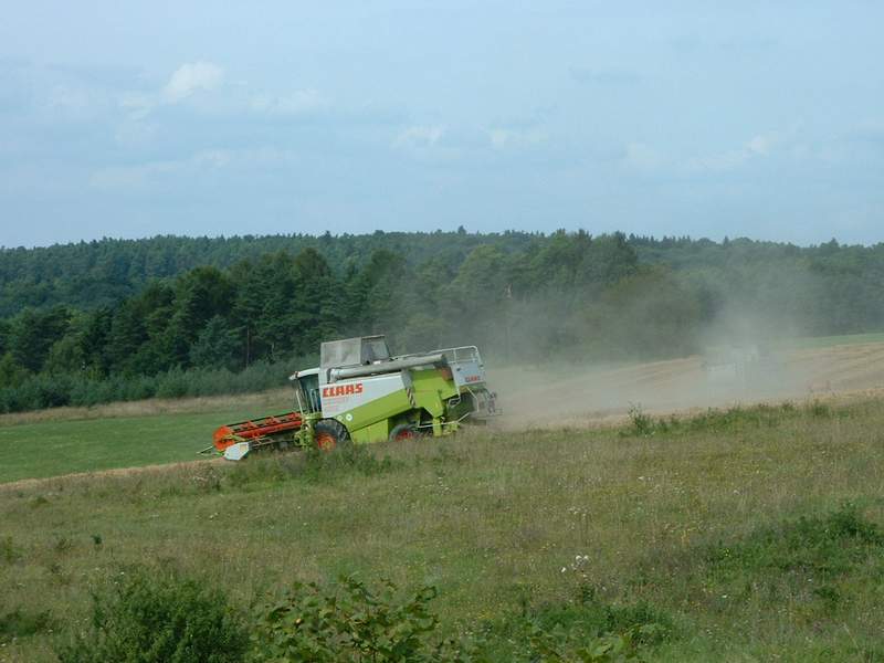bilder/25_8_2002/2x_lexion_4.jpg