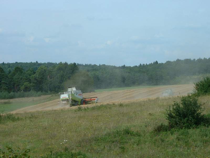 bilder/25_8_2002/2x_lexion_5.jpg