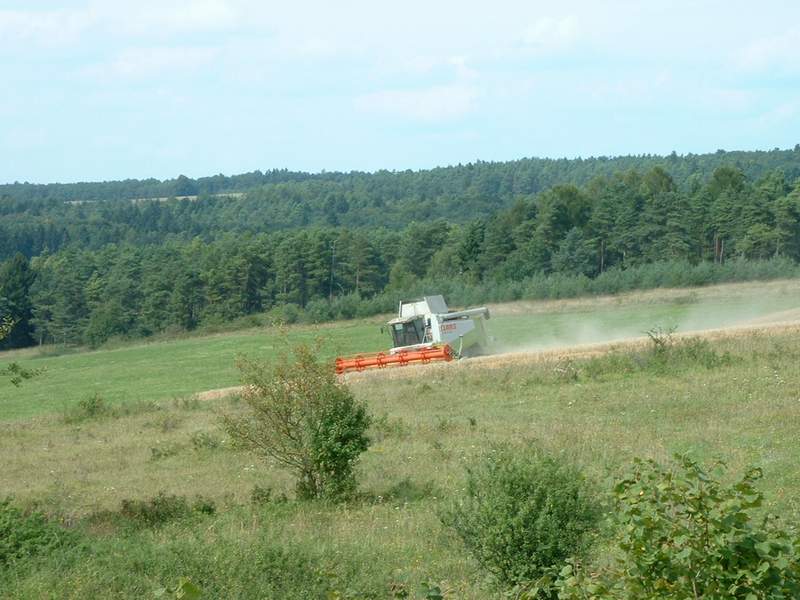 lexion.jpg