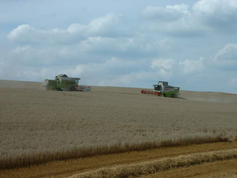 lexion_+_mega.jpg