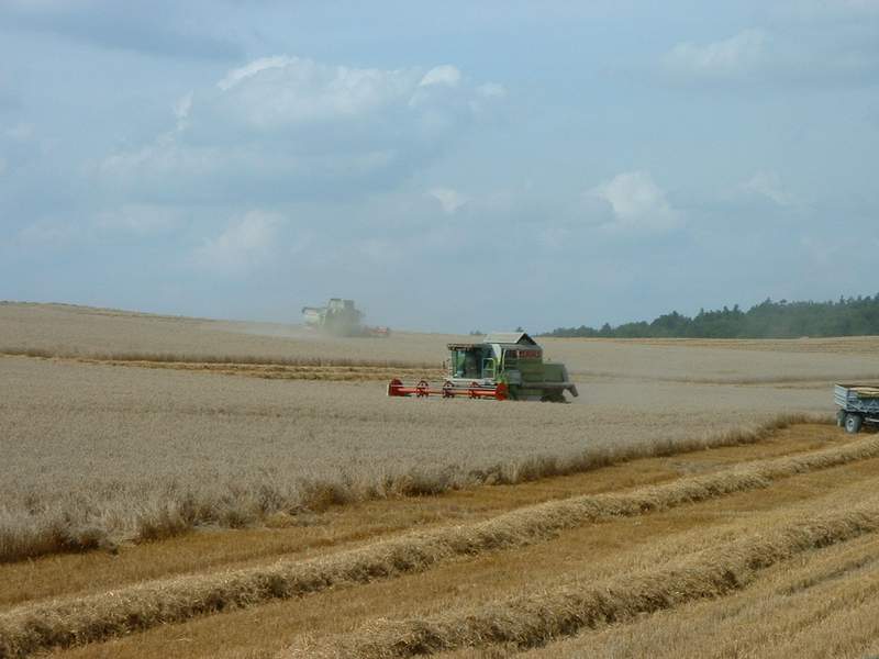 lexion_+_mega_2.jpg
