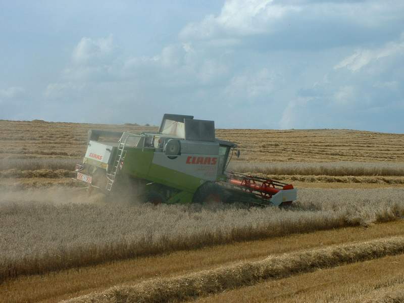 lexion_19.jpg