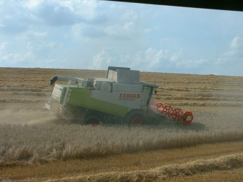 lexion_21.jpg