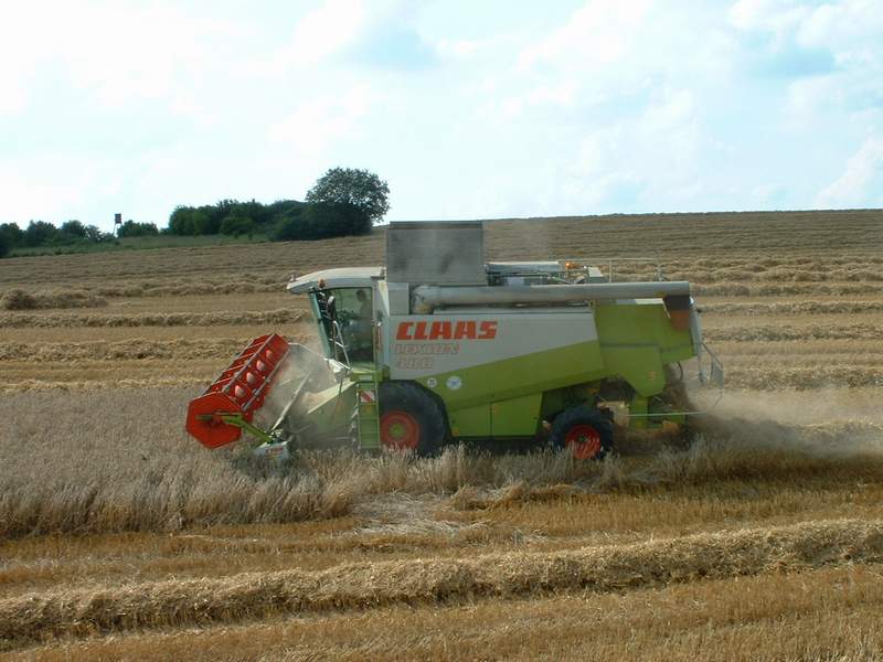 lexion_24.jpg