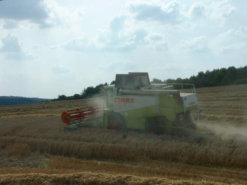 lexion_25.jpg