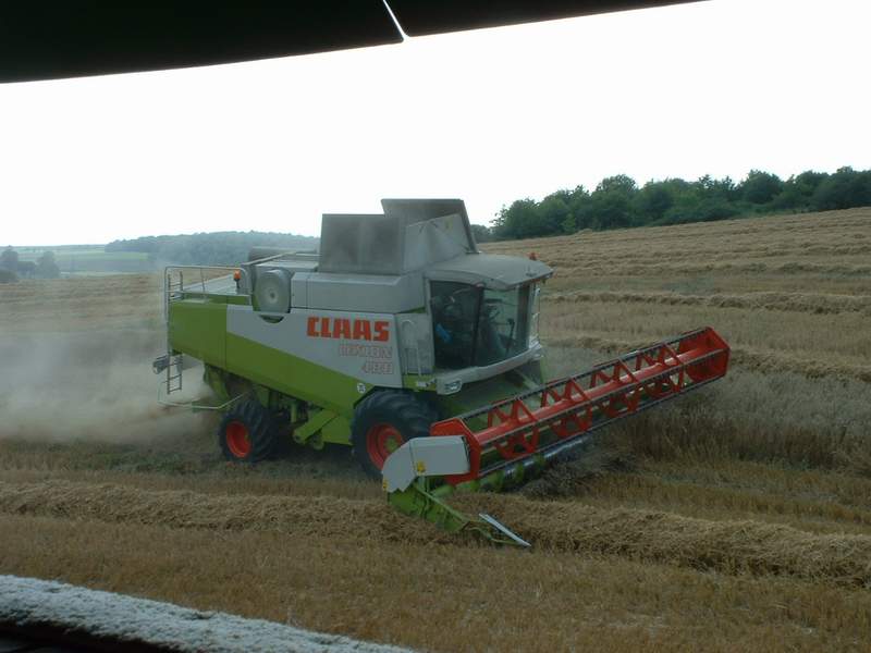 lexion_29.jpg