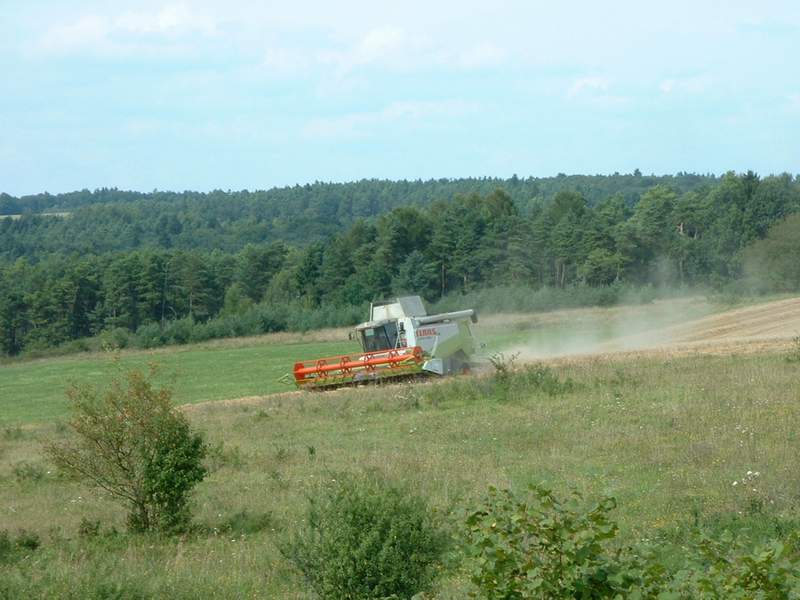 lexion_3.jpg
