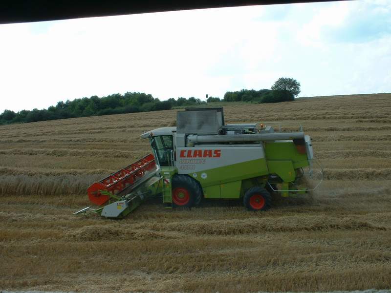 lexion_32.jpg