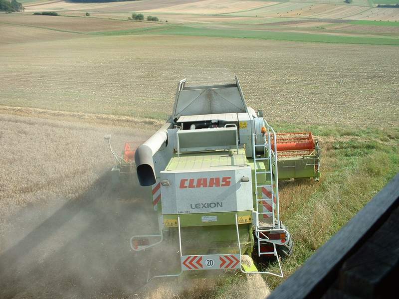 lexion_35.jpg