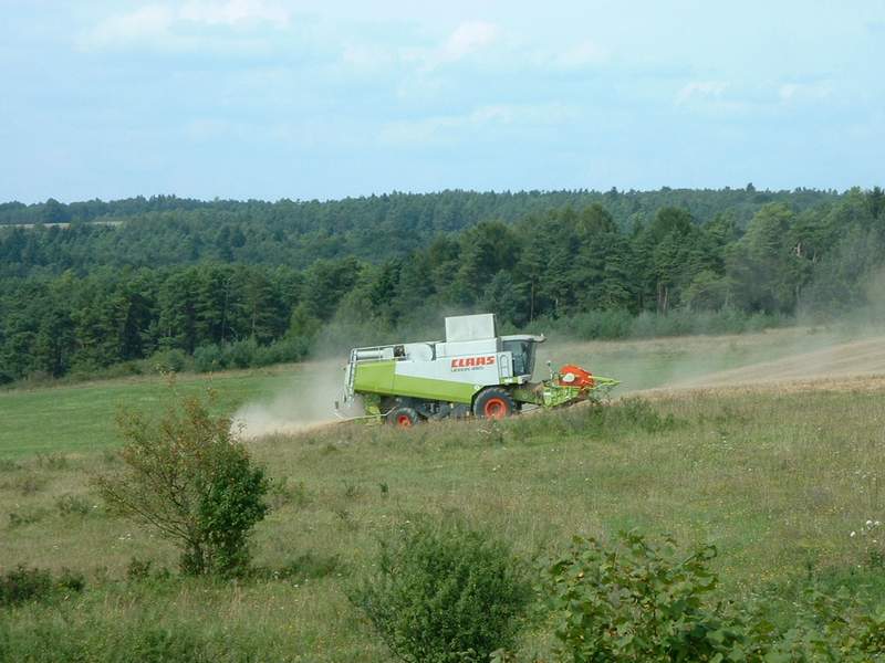 bilder/25_8_2002/lexion_4.jpg