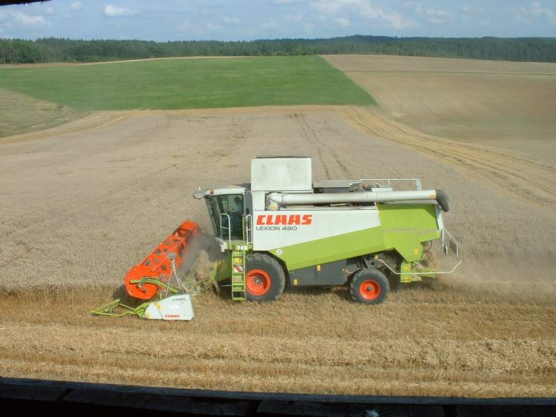 bilder/25_8_2002/lexion_43.jpg