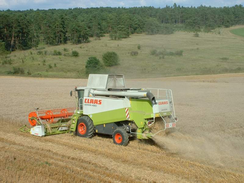 lexion_44.jpg