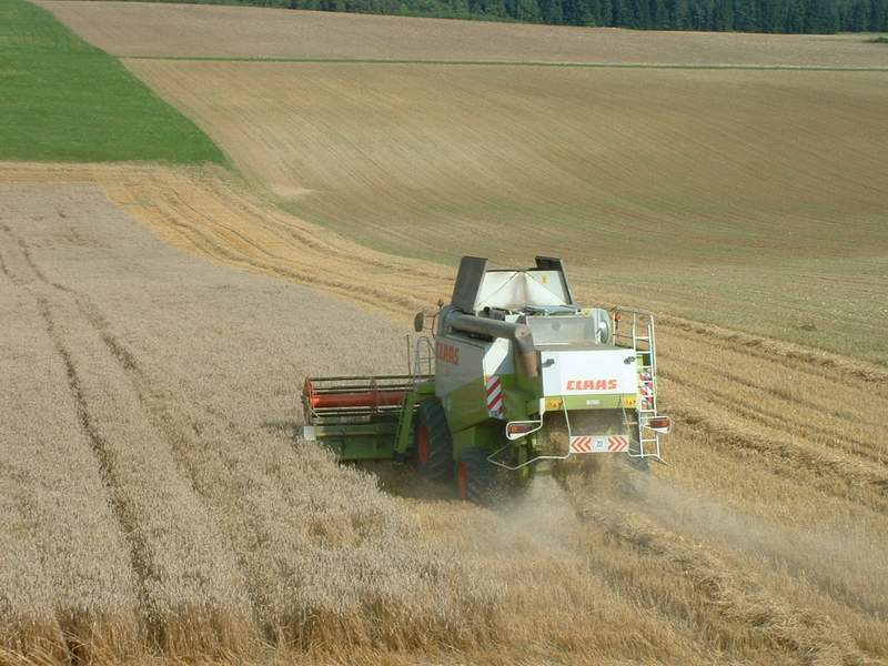lexion_46.jpg