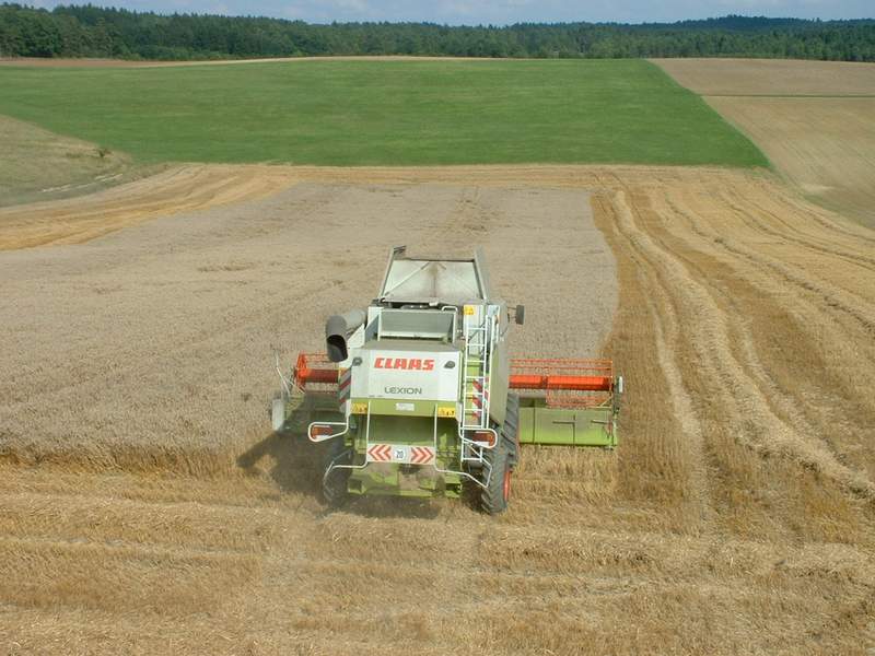 bilder/25_8_2002/lexion_49.jpg