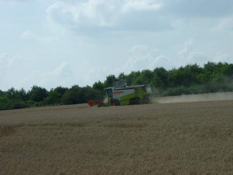 lexion_6.jpg