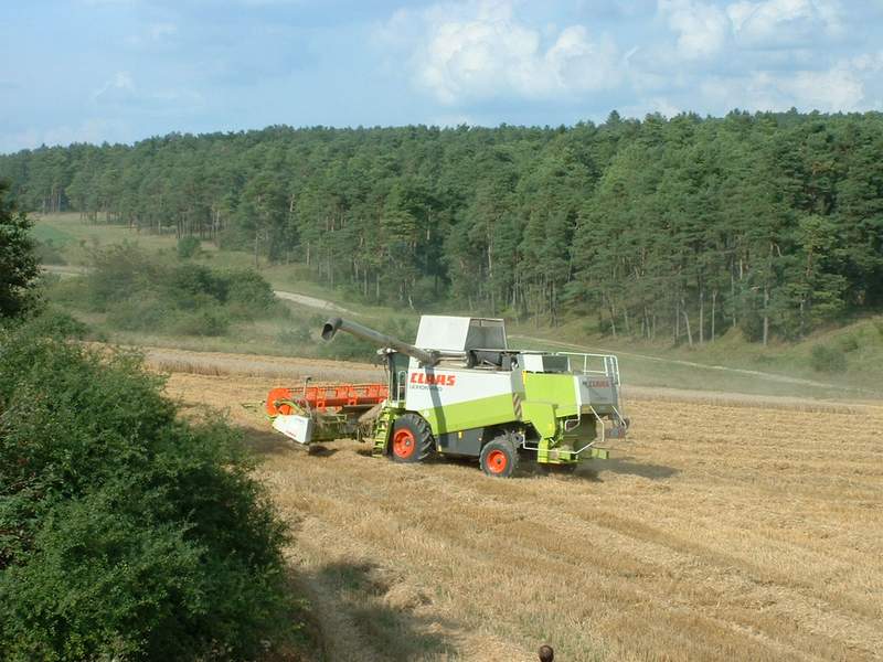 lexion_60.jpg