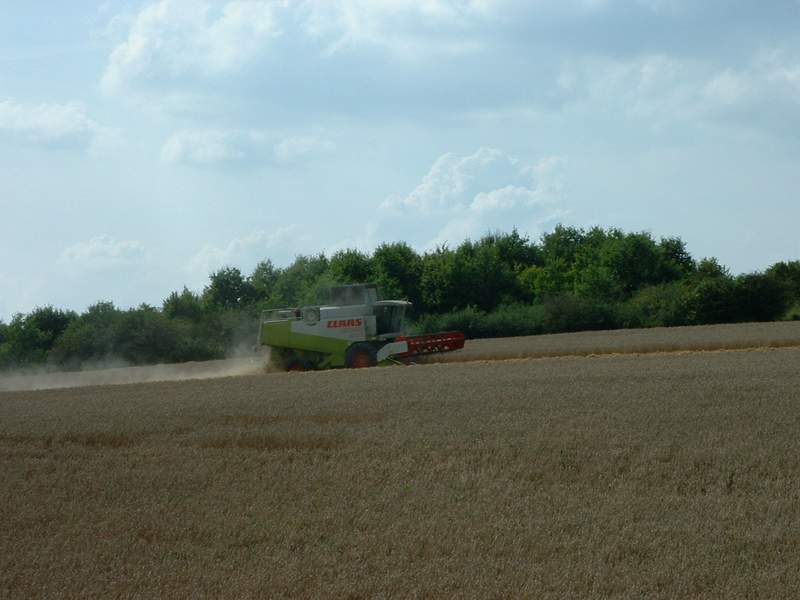 bilder/25_8_2002/lexion_8.jpg