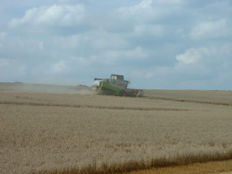 lexion_9.jpg