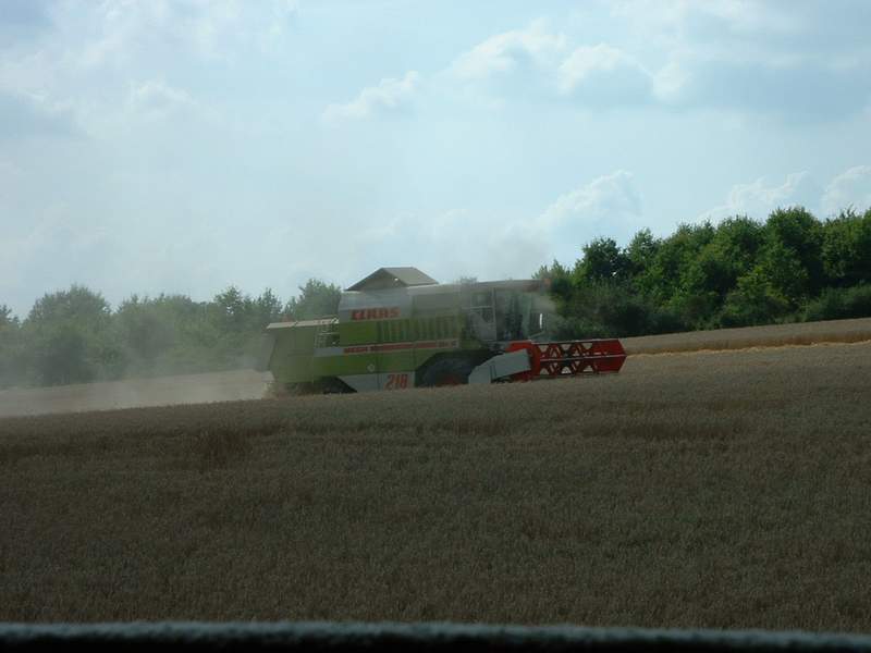 bilder/5_11_2011/CIMG5963.jpg