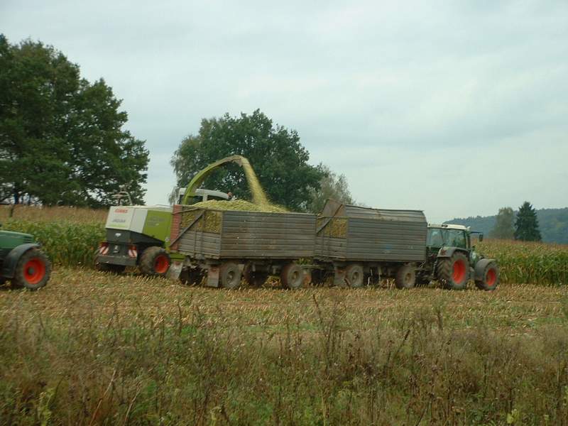 jaguar_+_fendt_716_2.jpg