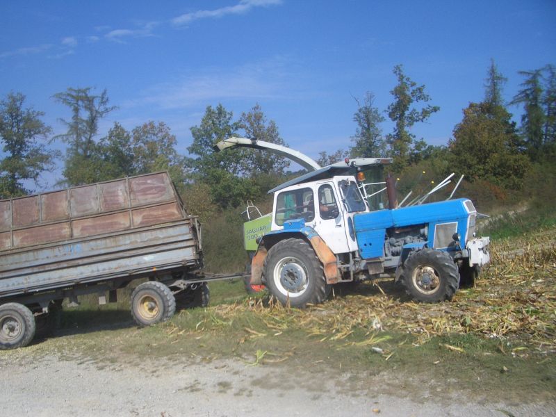 IMGP6490.jpg