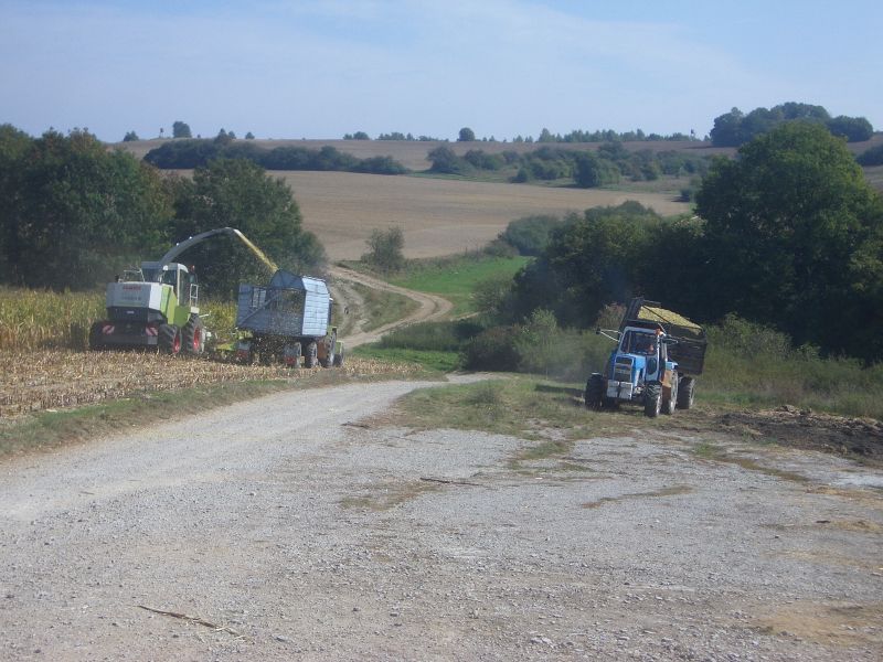 IMGP6493.jpg