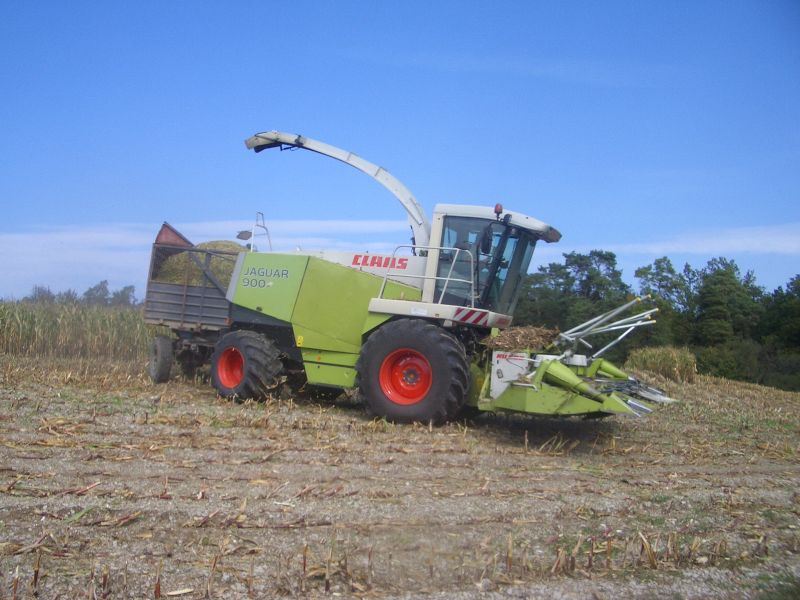 bilder/16_8_2002_2/lexion_5.jpg