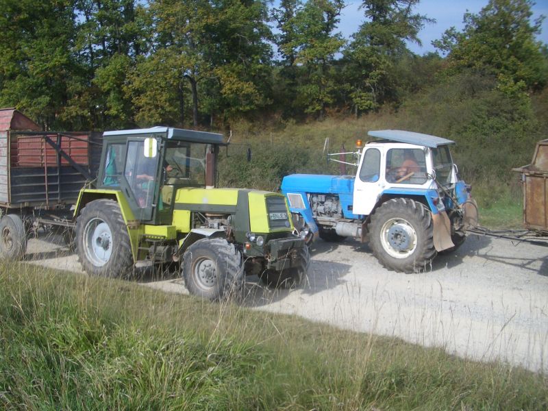 IMGP6542.jpg
