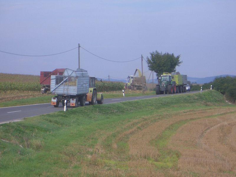 IMGP6571.jpg