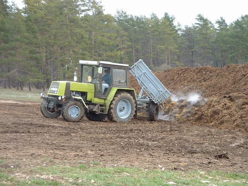 zt_323_8.jpg
