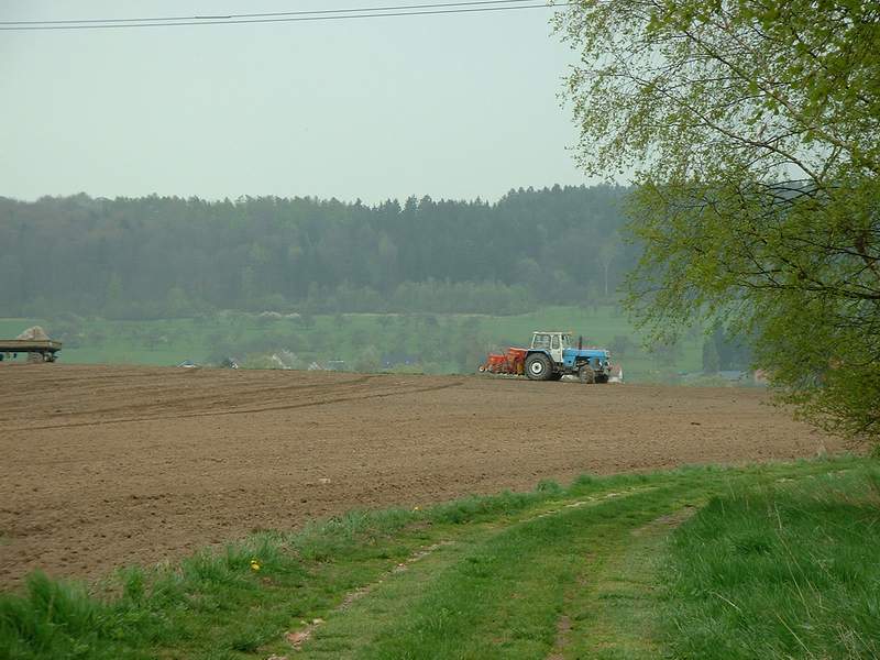 bilder/11_8_2012_2/CIMG0105.jpg