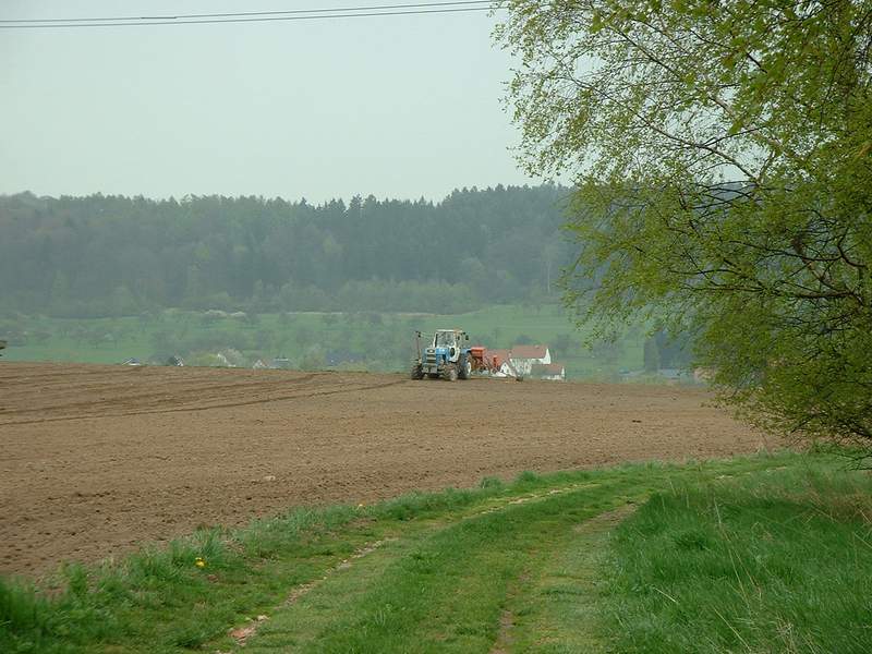 zt_303_4.jpg
