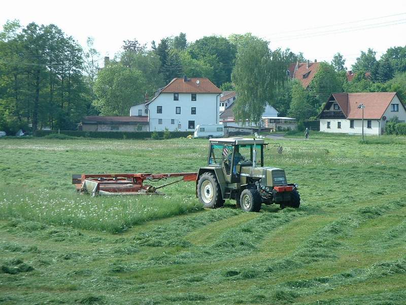 bilder/16_10_2011/CIMG5476.jpg
