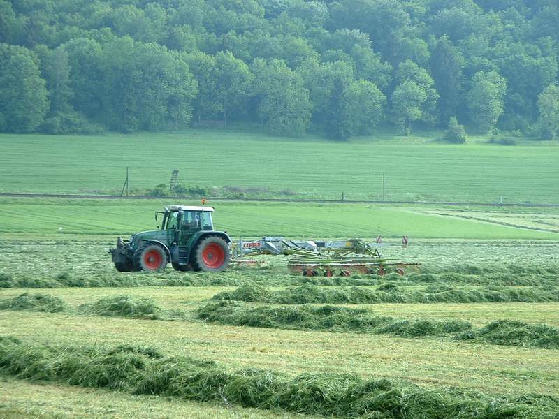 bilder/26_5_2003_2/fendt_716.jpg